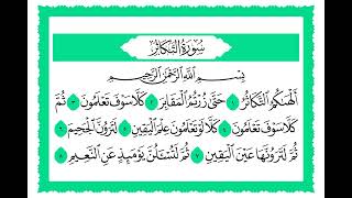 102 سورة التكاثر القارئ الشيخ حجاج الهنداوي