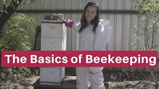 Beekeeping for beginners- The absolute basics