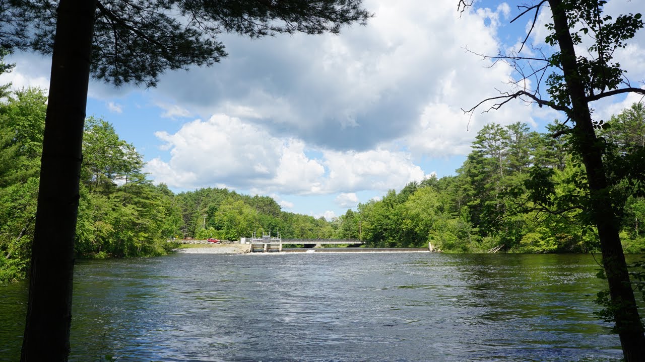 Schroon River Forest 2017