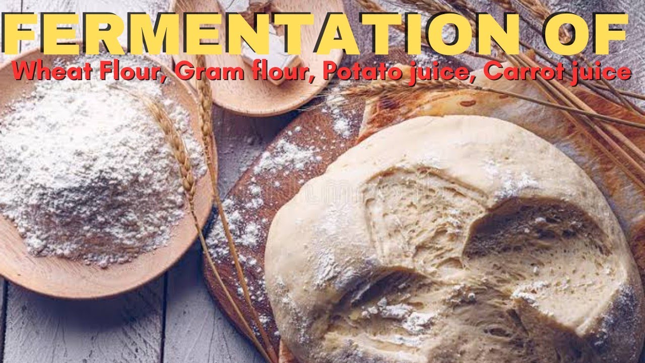 Comparative study of rate of fermentation of wheat flour, gram flour ... - MaxresDefault