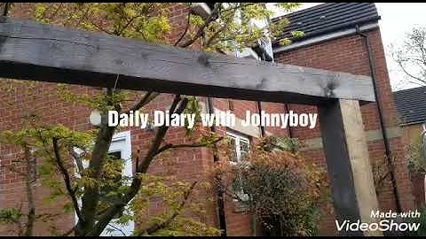 Daily Diary with Johnyboy