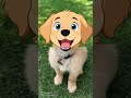 Animal animation 🤗