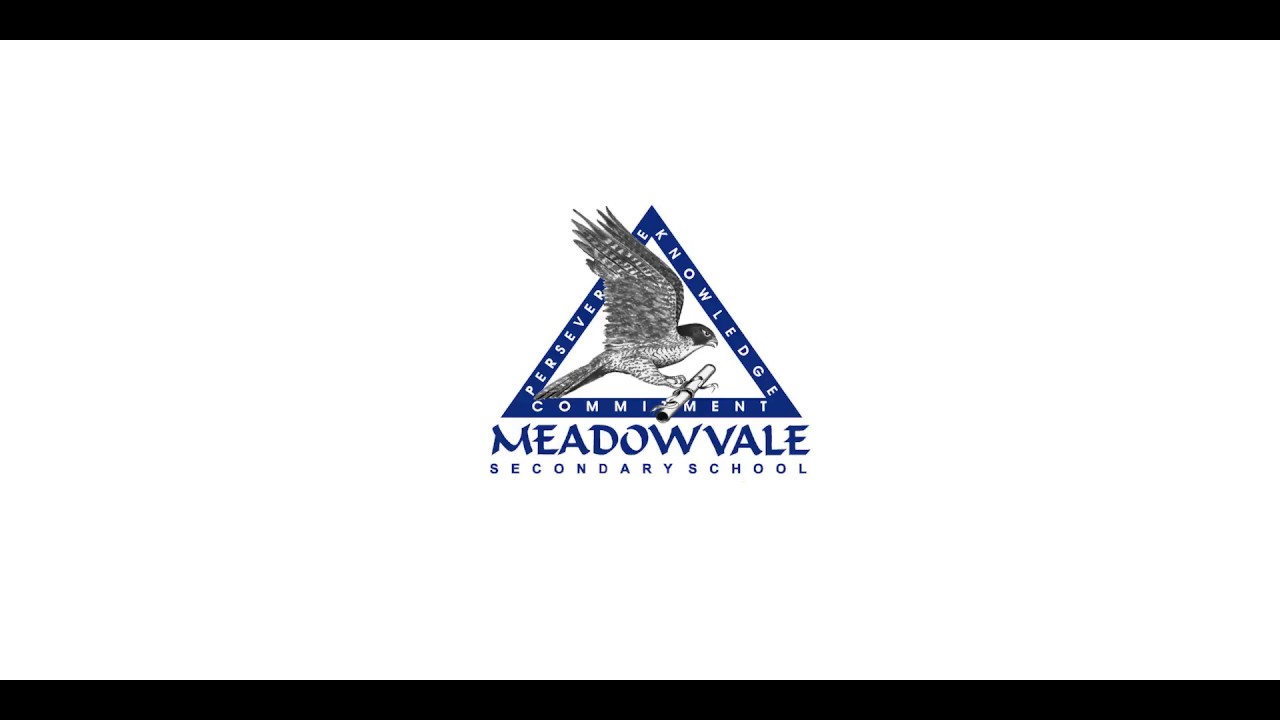 A 360° virtual reality look at Arts & Culture Night at Meadowvale ...