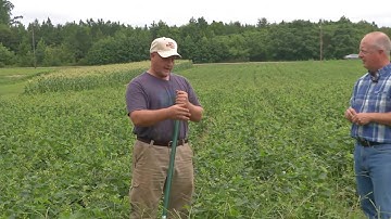 From the Ground Up - Growing Butter Beans