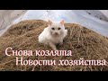 Новости с Лесного Хутора. Избавляемся от мусора