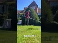 Satisfying Gardening Work🌳#garden #satisfying #cleaning #grass #lawn #viral #fyp #trending #610