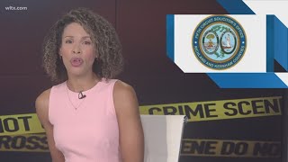 Man sentenced to nine years for domestic violence