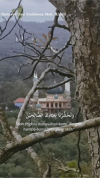 Sholawat Ilmi Syaikhona mohammad kholil Al bangkalan #fyp