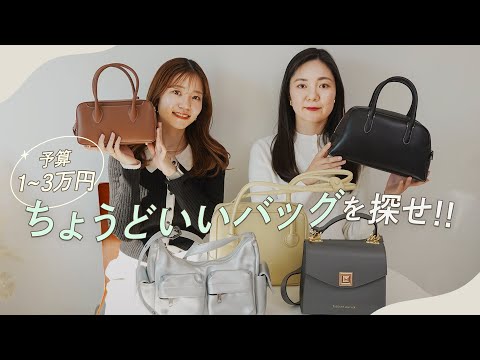 韓国大人気☆ウォレットバッグ(2種類のストラップ付)/DE MERIEL 予算1~3万円バッグ!値段も使い勝手もちょうどいいバッグを探し