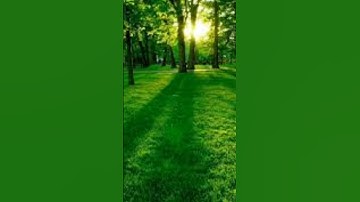 سورة التكاثر [ابراهيم الحق]