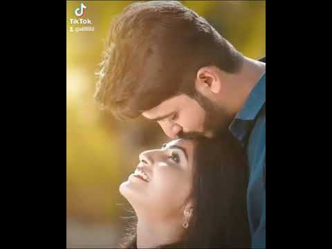 حالات وتس أب نغمات