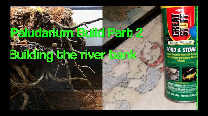 Paludarium Build Part 2: Building the river bank