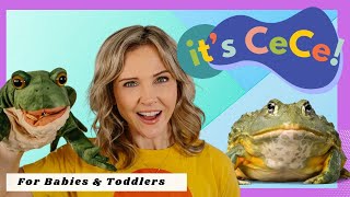 Speech for Baby & Toddler I it's CeCe! I Five Green & Speckled Frogs I Toddler Educacation