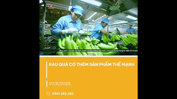 Nông sản Việt khẳng định thương hiệu nhờ liên kết bền vững và tư duy đổi mới | VTV CẦN THƠ