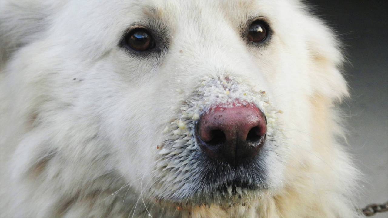 Vocabulary Digital Story