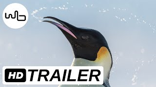 DIE REISE DER PINGUINE 2 | Offizieller deutscher Trailer | ab 02. November im Kino! DIE REISE DER PINGUINE 2 | Offizieller deutscher Trailer | ab 02. November im Kino!