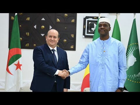 الوزير الأول سيفي غريب يجري محادثات ثنائية مع نظيره المالي&hellip;