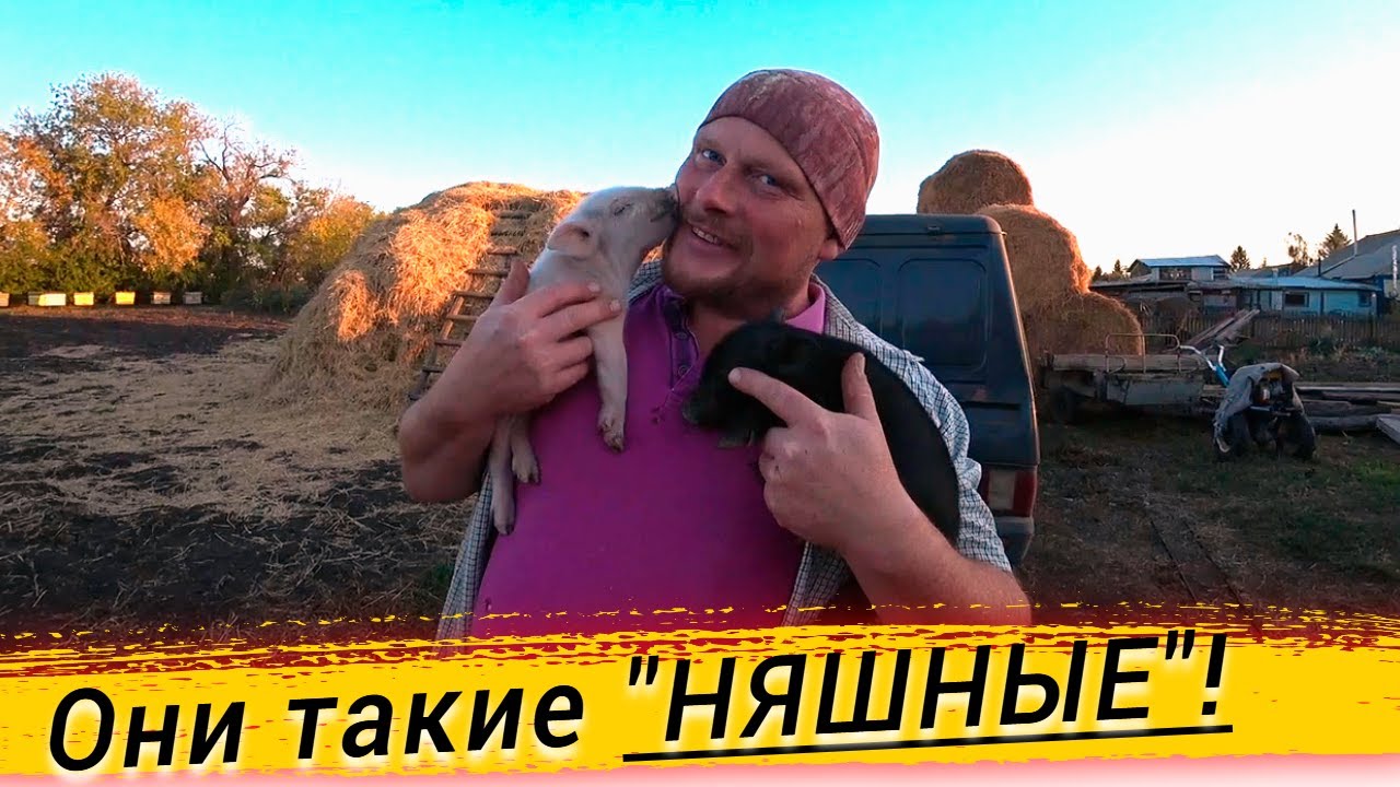 Оки токи москаленки
