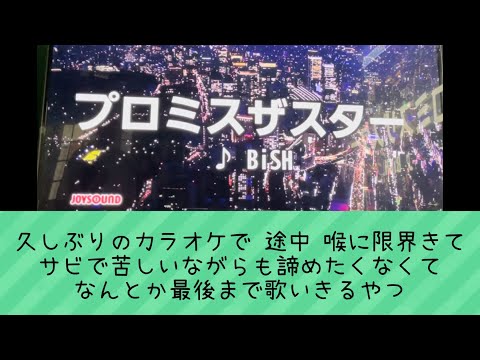 プロミスザスター／BISH   歌ってみた。