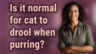 Is it normal for cat to drool when purring?