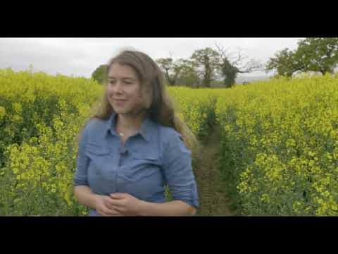 Video: Co je humus? Co je půdní humus: složení a vlastnosti hnojiva