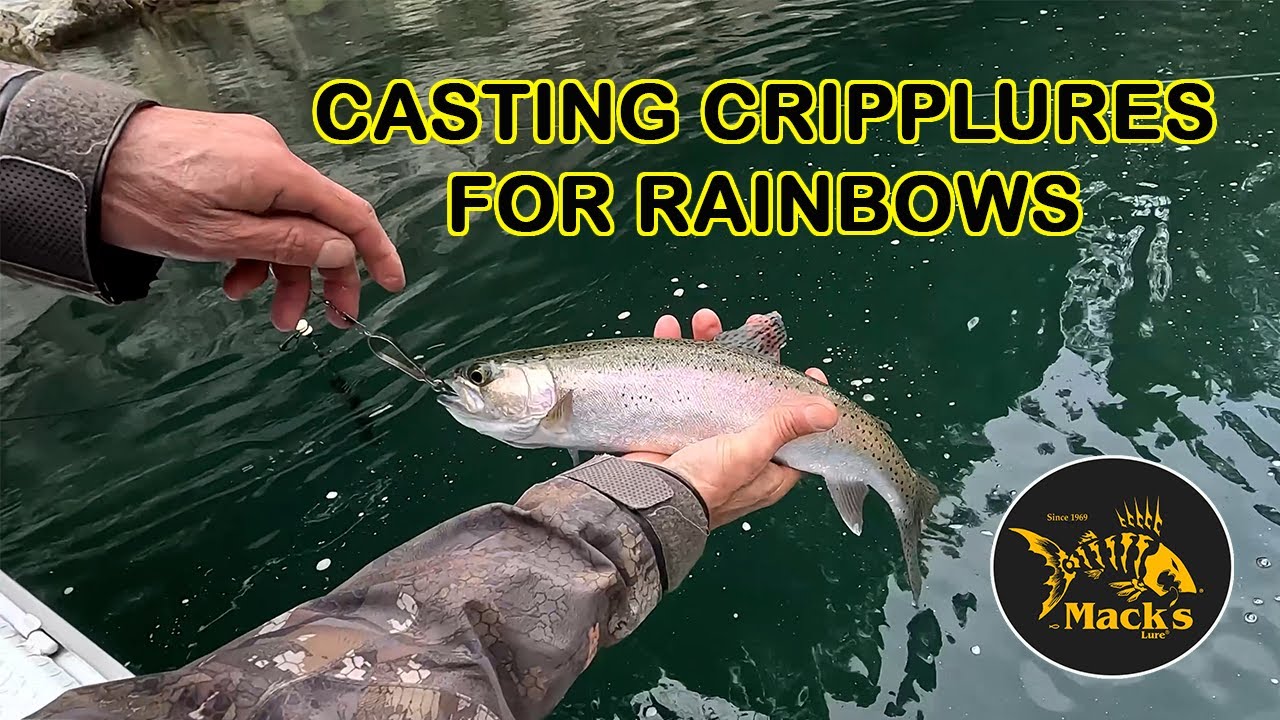 Радужная форель с Буллардс-Бар на приманках Cripplures