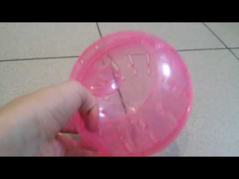 Шар для хомяка.Как им пользоваться!🐹