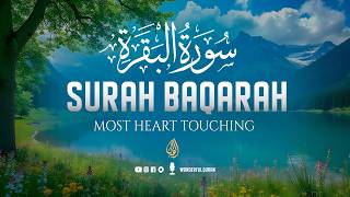 Surah Al-Baqarah سورة البقرة FULL | ULTIMATE RELAXING RECITATION | Emotional Voice | Wonderful Quran