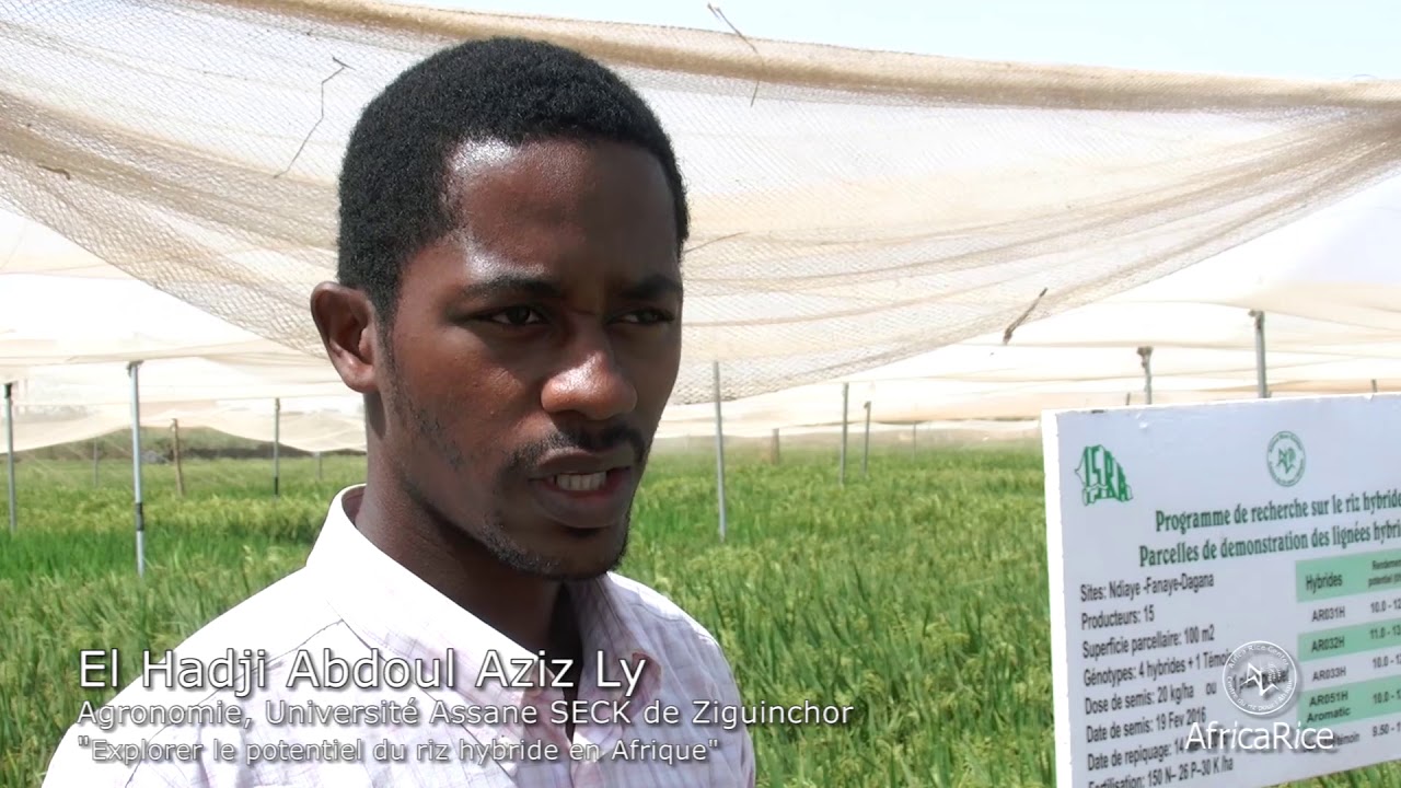El Hadji Abdoul Aziz Ly, Agronomie, Université Assane SECK de Ziguinchor