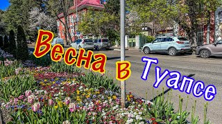 В Туапсе пришла весна.