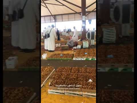 تمور القصيم