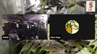 CHILLEN!!! FUTURE GARDEN PLANS!!!
