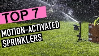 BEST MOTION ACTIVATED SPRINKLER