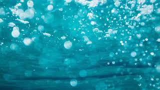 Tepung Kanji Tanpa Kendang Tanpa Vokal Tanpa Melody | Siap Untuk Manggung