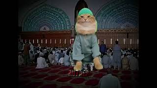 Download Lagu Wa’ludu dan dan danali #muslim #islam #cats #muslimcat MP3 Download Lagu Wa’ludu dan dan danali #muslim #islam #cats #muslimcat MP3