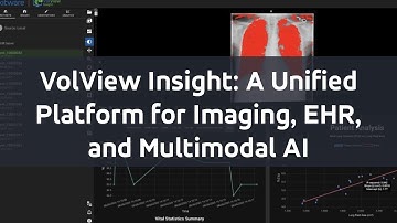 VolView Insight: A Unified Platform for Imaging, EHR, and Multimodal AI
