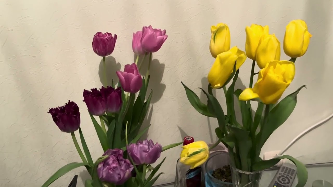 Дорогой дневник. Д1920.