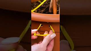 5 Crazy Gardening Hacks You Need To Try 😳🌱 | Plant Growing Tricks