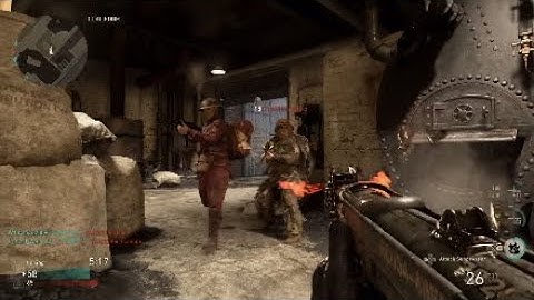 COD WW2 Elite Guns - Duck Soup (PPSH) & Front Line (M1 Garand)