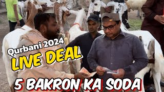 5 Bakron Ka soda Kitne Ka hona Chahiye | qurbani 2024