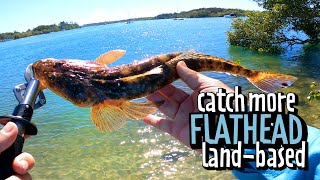 Land Based Flathead Fishing || "I feel like a kid again"