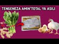 Tengeneza AMIN TOTAL Ya Asili Magojwa Ya Kuku Tiba Za Asili Za Kuku Ufugaji 