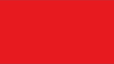 Red Alert Screen / Alert Red Video with Alarm Sound - 10 Hours