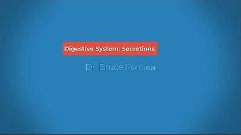 Digestive System: Secretions