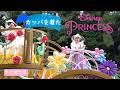 【雨】プリンセス カッパを着たパレード イッツ・ア・スウィーツフルタイム!byディズニー・パルパルーザ&ldquo;ヴァネロペ princess  rain Tokyo Disneyland