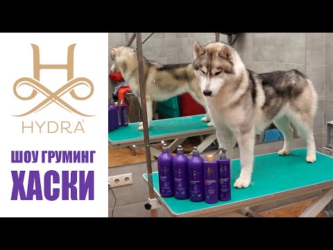 #HYDRA - ШОУ-ГРУМИНГ ХАСКИ / Show Grooming of husky with #HYDRA