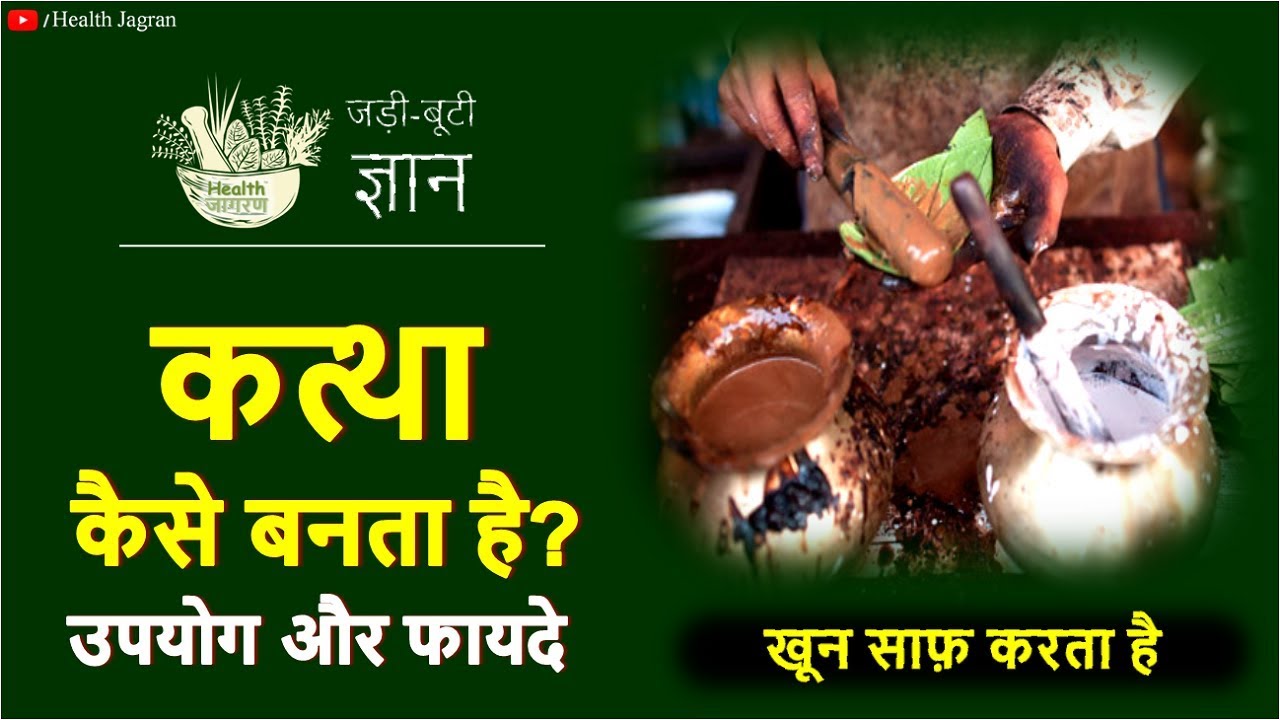 कत्था बनाने का तरीका Benefits & Uses Catechu Making Process paan