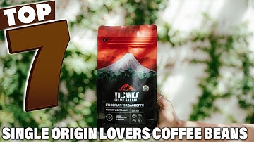Top 7 Coffee Beans for Single Origin Lovers | Rich Flavors You Must Try
