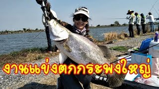 งานแข่งตกกระพงใหญ่ นักตกปลา 200 กว่าคน fishingEZ