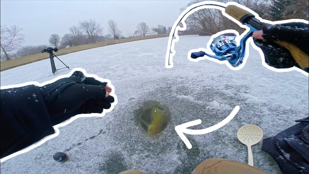 Watch GIANT Fish Through the ICE!!! Video on